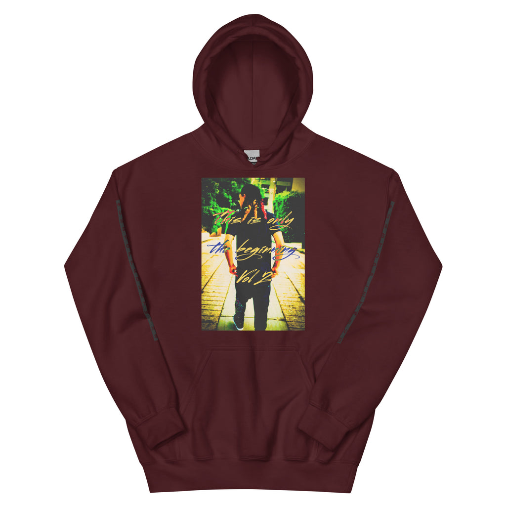 This is only the beginning vol 2 hoodie